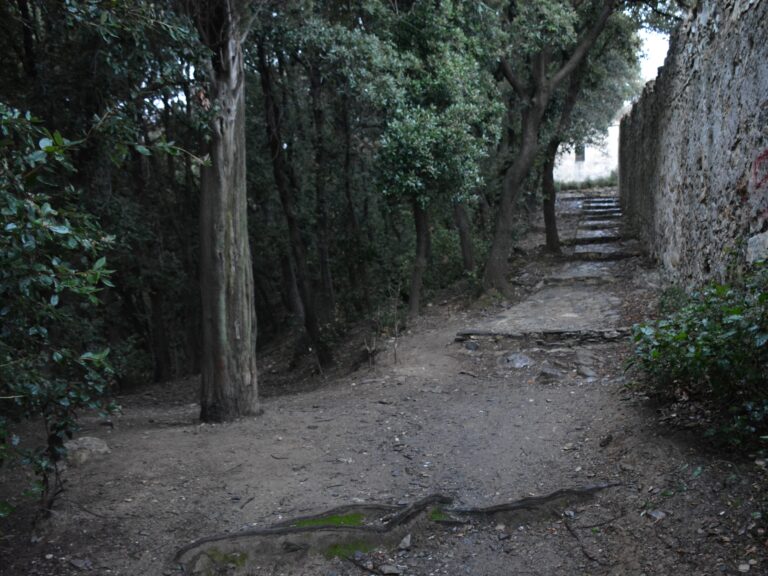 FAI: Votiamo il BOSCO DEI FRATI DI NOSTRA SIGNORA DEL MONTE